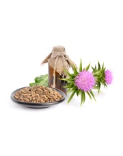 OSTROPEST PLAMISTY ZIARNO